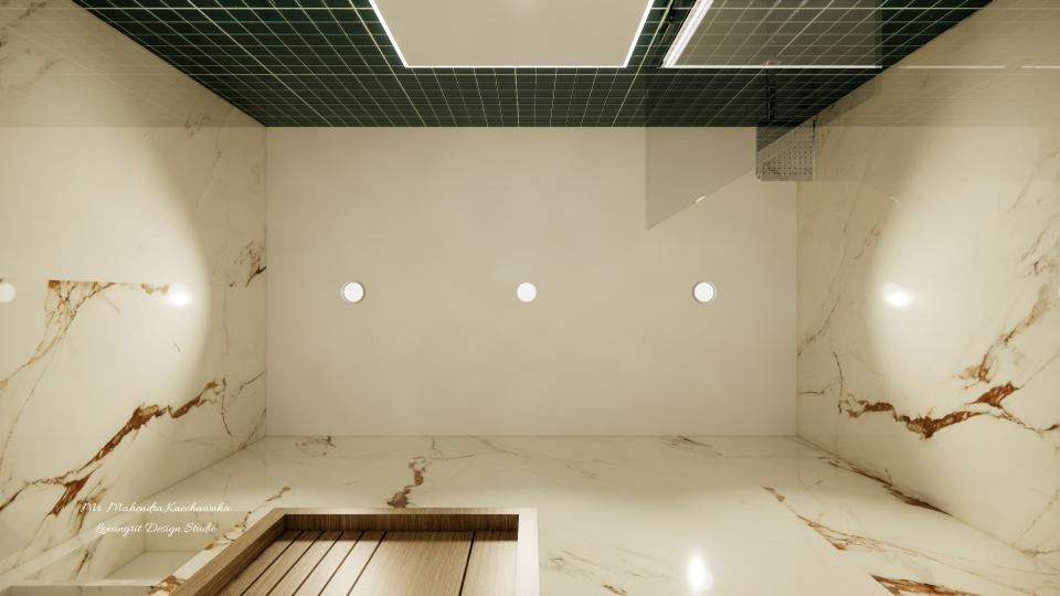 Toilet plain false ceiling design