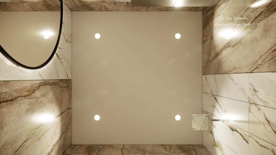 toilet false ceiling