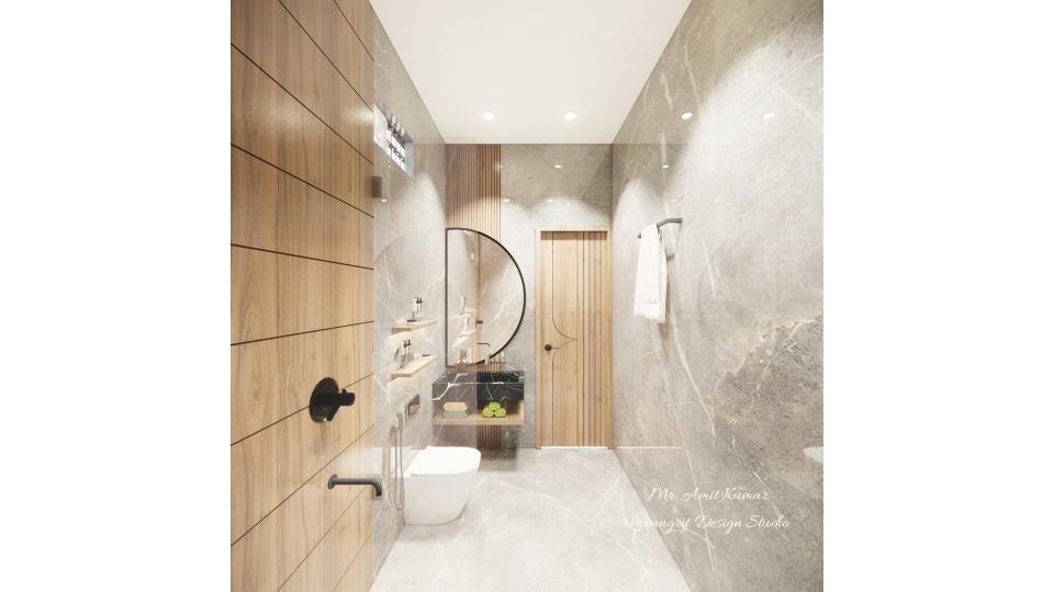 Small attached toilet bathroom design with modern wet and dry bathroom layout, vanity and mirror placed on the toilet door entrance wall, and shower area separated in the wet zone.