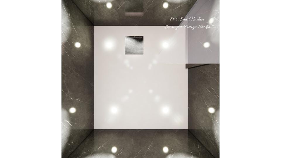 Toilet false ceiling view