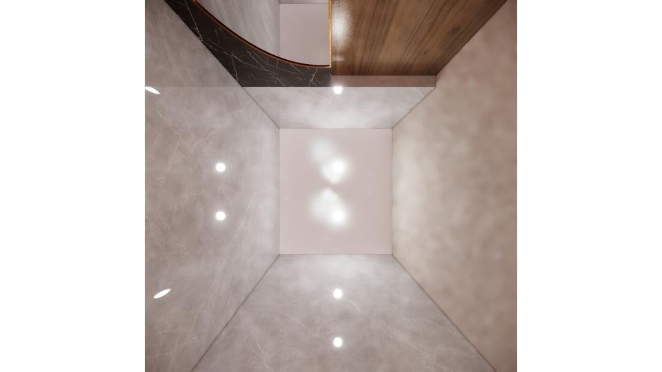 Powder bathroom false ceiling view