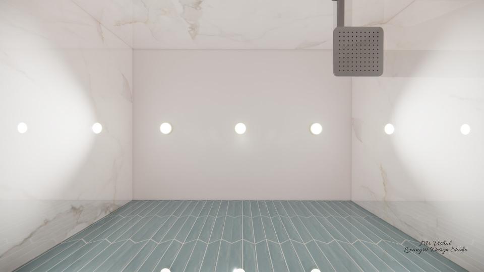 Toilet 1 false ceiling view