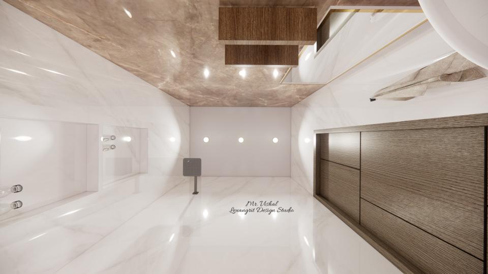 Toilet 2 false ceiling view