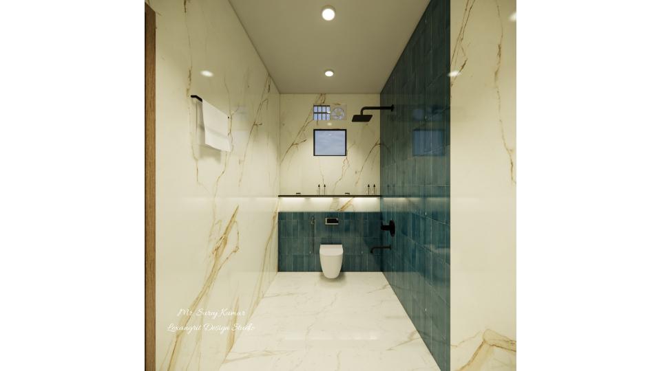 Bathroom wc area  view